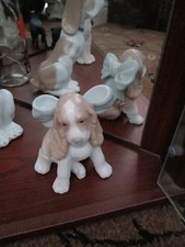 nao puppy for sale nao puppy for sale PETERLEE