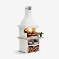 Palazzetti barbecue mod. usato  Novi Ligure