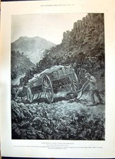 Old 1900 boer for sale  UK