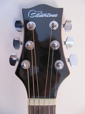 Silvertone pro acoustic for sale  Somerville