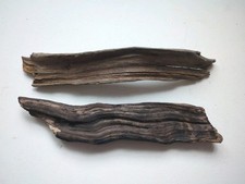 Driftwood pieces log for sale  TAUNTON