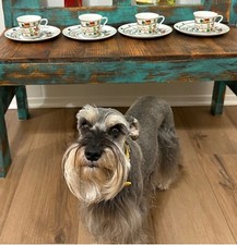 plate tasting for sale plate tasting for sale Mesquite