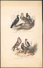 1853 watercolor engraving d'occasion  Expédié en Belgium
