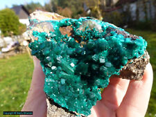 Dioptase dem congo gebraucht kaufen  Weiden