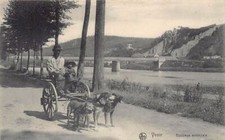 Belgium yvoir dog d'occasion  Expédié en Belgium