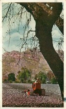 Advertising postcard allis for sale  Saint Joseph