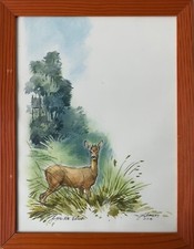 Aquarell rehbock lichtung gebraucht kaufen  Graal-Müritz, Seeheilbad