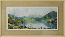 Llyn cwm bychan for sale  NOTTINGHAM