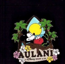 Disney discovery hawaii for sale  USA