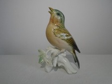 Karl ens oiseau d'occasion  Tinqueux