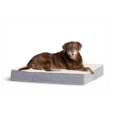 Top paw orthopedic for sale  Bowling Green