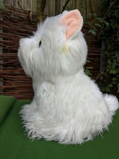 West highland terrier for sale  MALTON