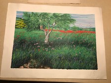 Azzinari franco litografia usato  Pieve di Soligo