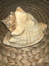 Large queen pink for sale  Stratham