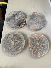 Stampi per tigelle usato  Casalecchio di Reno