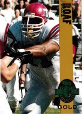 Willie roaf louisiana for sale  San Diego