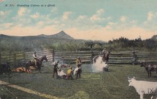 Ranching west branding for sale  Lockwood