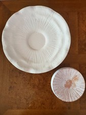 Ceramic slip kiln for sale  Eugene