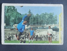 WS Verlag WM 1962 Pelé Torwart Pele 1958 Rookie FC Santos Brasilien RC Goalie comprar usado  Enviando para Brazil