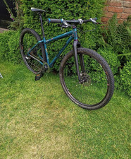One inbred 29er for sale  OXFORD