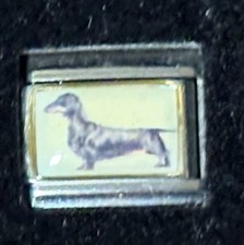 Dachshund dog italian for sale  Hazlehurst