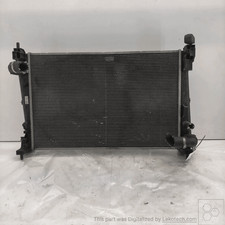 557041350 radiatore fiat usato  Italia