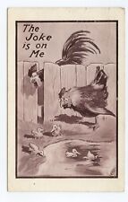 Chickens ducks comic for sale  Waupun