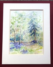 Sunlight brocket woods for sale  CHELMSFORD
