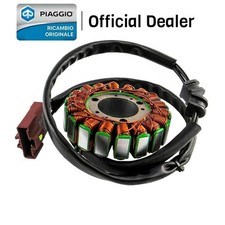 Statore magnete 58080r usato  Pagani
