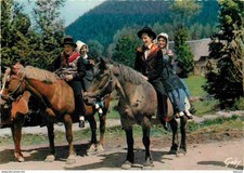 Animaux chevaux haute d'occasion  Fruges