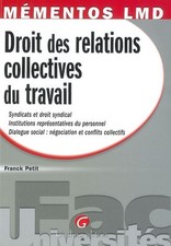 Droit relations collectives d'occasion  France