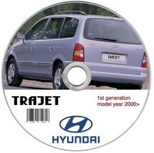 Hyundai trajet manuale usato  Italia