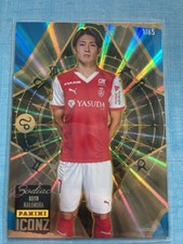 Panini iconz keith d'occasion  La Rochelle