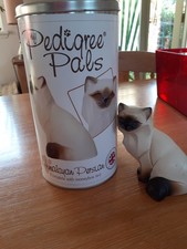Pedigree pals himalayan for sale  STAFFORD