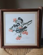 john ruthven for sale  Leetonia