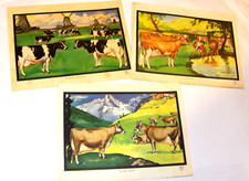 Vtg 1950s california for sale  Charlotte