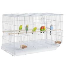 Pair white bird for sale  STRATFORD-UPON-AVON