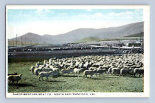 1918. sheep western for sale  Pomona