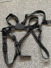 Red kite harness for sale  GREAT YARMOUTH