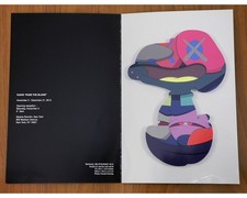 kaws usato kaws usato Serravalle Pistoiese