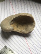 Fossile bivalve huitre d'occasion  Étaples