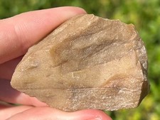 Texas fossil petrified for sale  Coppell