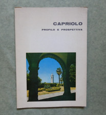 Capriolo prospettiva brescia usato  Sarezzo