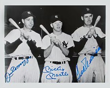 Ted williams mickey for sale  Salinas
