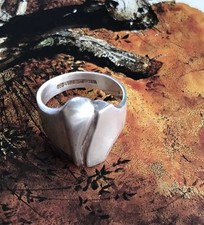 Desirable lapponia finland for sale Desirable lapponia finland for sale  HAMPTON