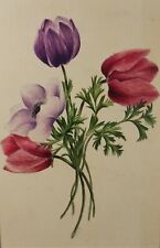 Original watercolour poppies for sale  WIRRAL