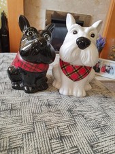 Pair yorkshire terrier for sale  POULTON-LE-FYLDE