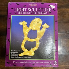 Halloween ghost light for sale  Detroit Lakes