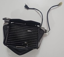 Radiatore acqua completo usato  Cinisello Balsamo