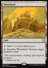 Mtg wasteland foil usato  Bari